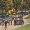 old style illustration with Saratoga, NY Perennial logo in the center