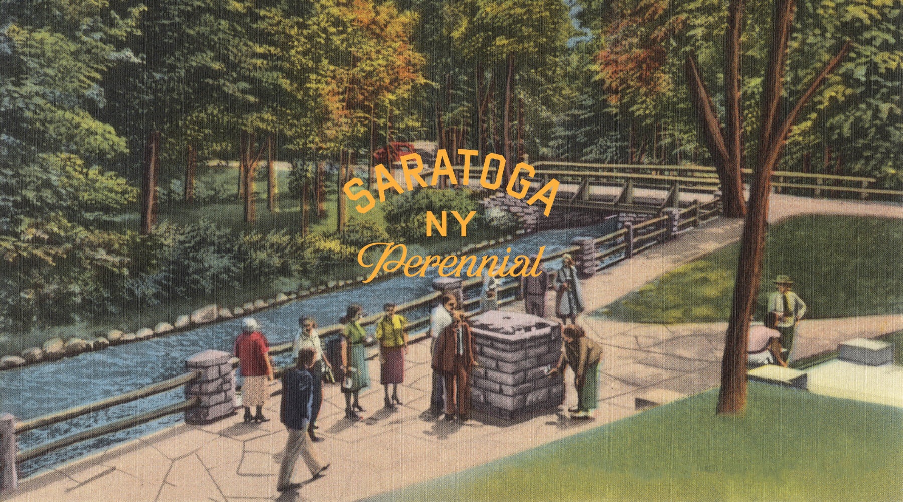 Celebrate Saratoga old style illustration with Saratoga, NY Perennial logo in the center